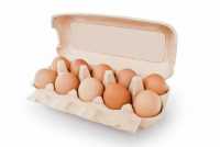 Купить оптом свежие куриные яйца в Днепре фото к объявлению