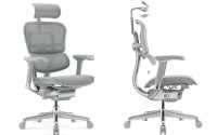 Новейшее компьютерное кресло Ergohuman Luxury 2 фото к объявлению