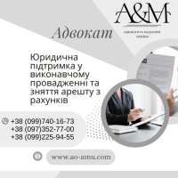 Юридична підтримка у виконавчому провадженні та зняття арешту з рахунків фото к объявлению