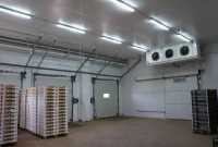 Холодильна камера Тривалого зберігання яєць (встановлення під ключ) фото к объявлению