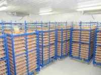 Холодильна камера Тривалого зберігання яєць (встановлення під ключ) Житомир фото 3