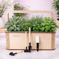 Квітучі подарункові набори на 8 березня. EcoBloom Житомир фото 2