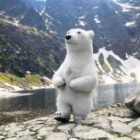 Надувний костюм «Білий Ведмідь» від виробника Киев фото 3